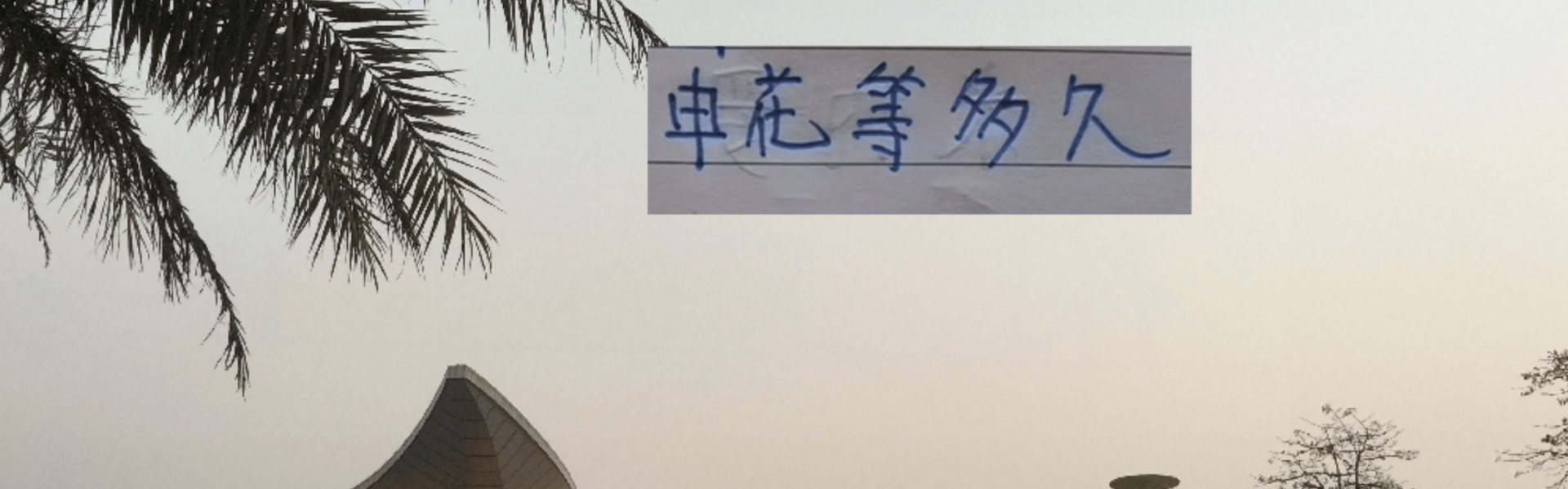 热刺时隔17年拿到第一座冠军奖杯 而申花还要等多少年