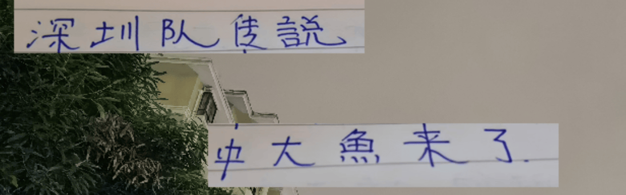 中超第29轮 申花打深圳更加难了！因为他们引进了一个英超射手