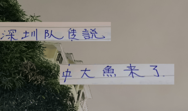 中超第29轮 申花打深圳更加难了！因为他们引进了一个英超射手